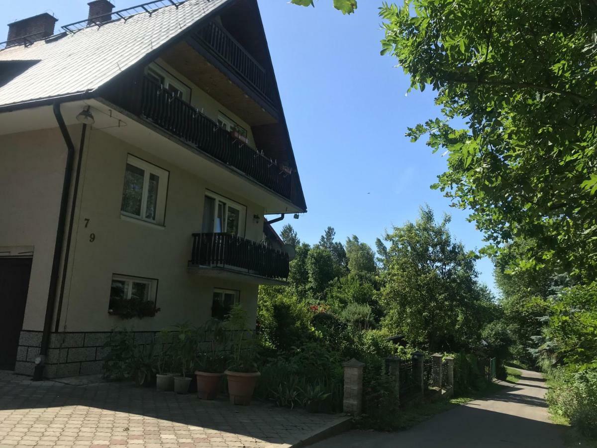 Апартаменты Apartament Roti Solina Солина Экстерьер фото